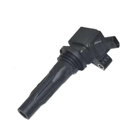 F01R00A113 10239858 Ignition Coil