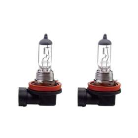 Halogen H8 PGJ19-1 12V 35W Bulb Globe X2