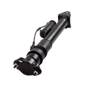 Rear Shock Absorber 2513201931 Suitable For Mercedes R-Class R280 W251