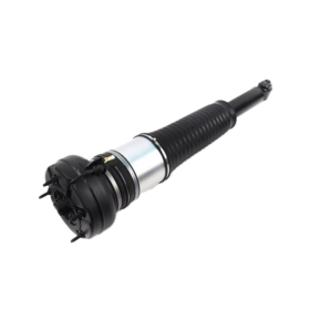 Rear Left Air Suspension Strut 4H0616001 Suitable For Audi A8 A8L S8